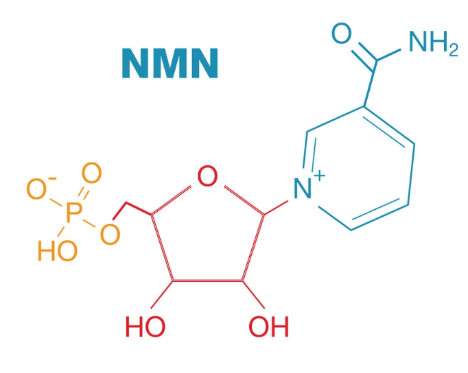 β-煙醯胺單核苷酸 (NMN)
