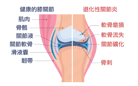 blog body 8b1eb27ffb2b8153